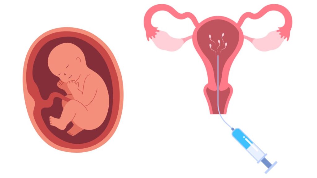 Egg Freezing