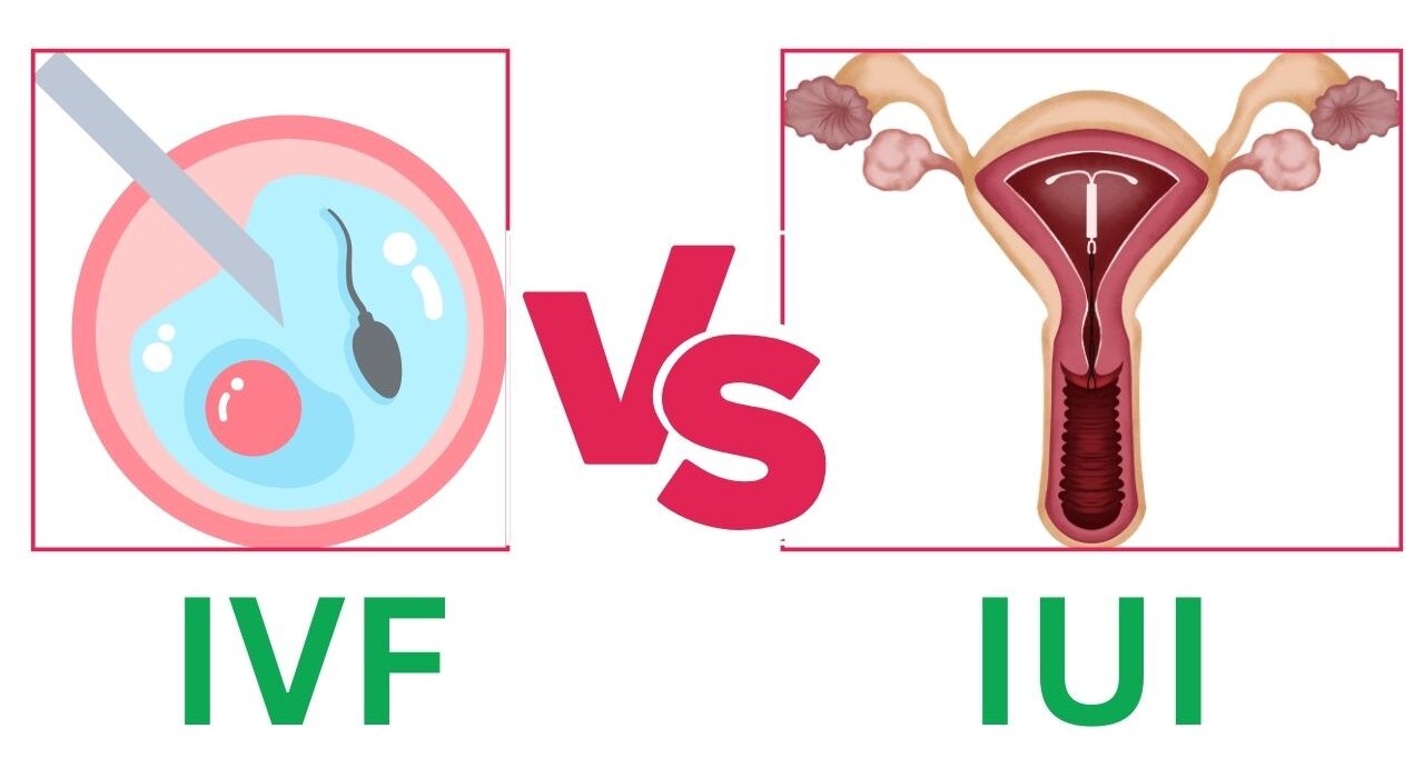 ivf vs iui success rates