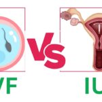 ivf vs iui success rates